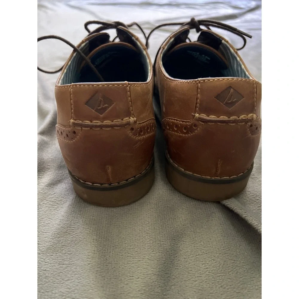 Sperry Top-Sider Mens 8.5M Brown Leather Wingtip Oxford‎ Shoes